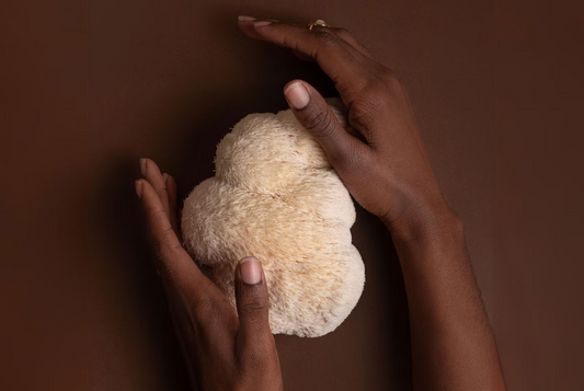 mushroom coffee, coffee alternative, lions mane