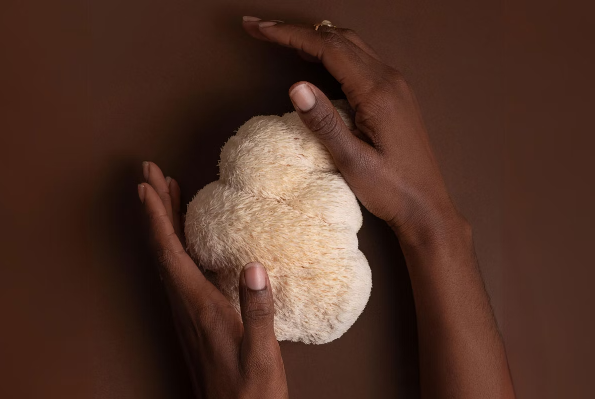 Why Lion’s Mane Is the Star of our Mushroom Coffee Alternative
