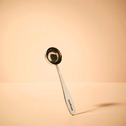 Metal Spoon